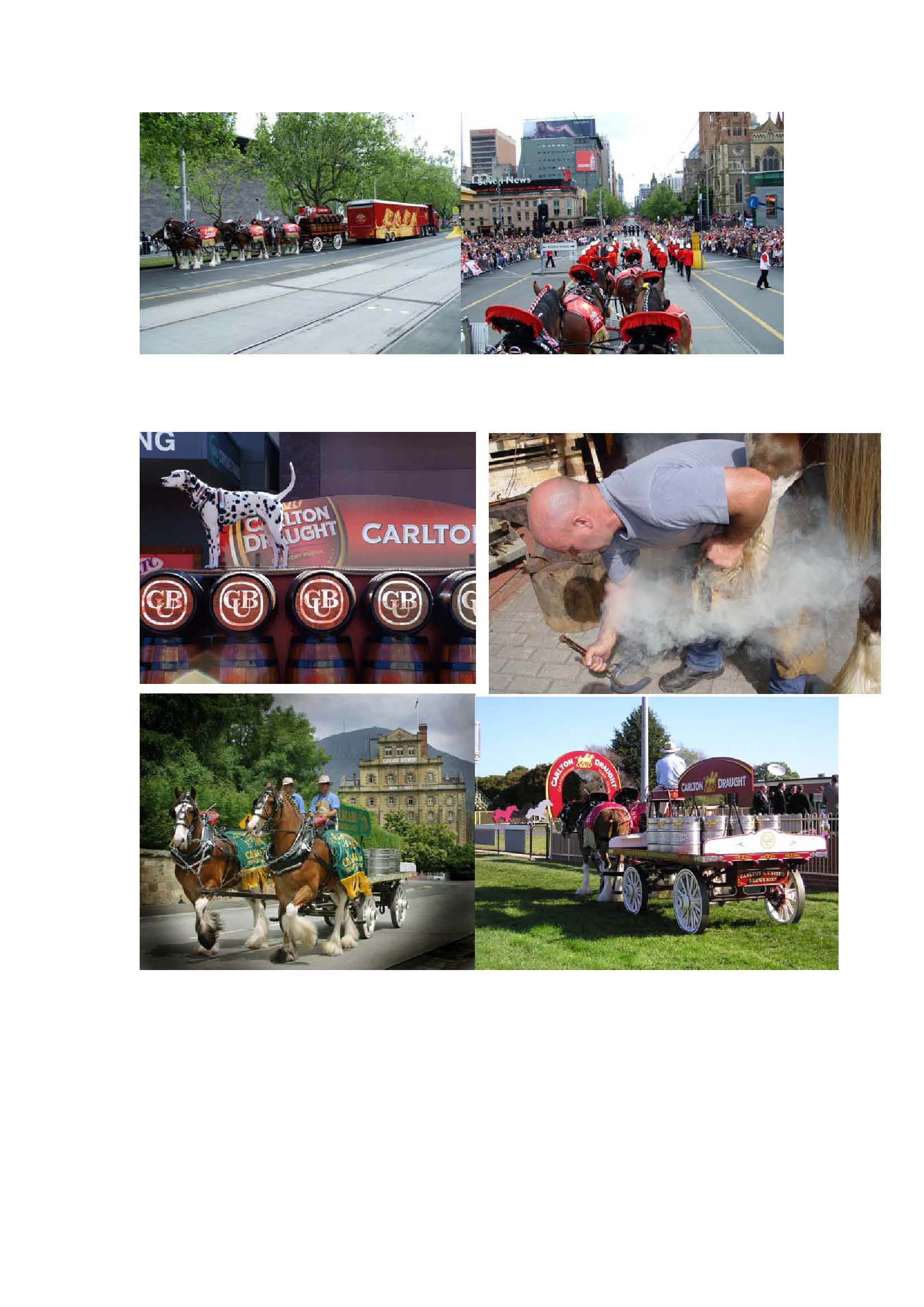 Carlton_Clydesdales_Wallpaper_b_Page_3.jpg