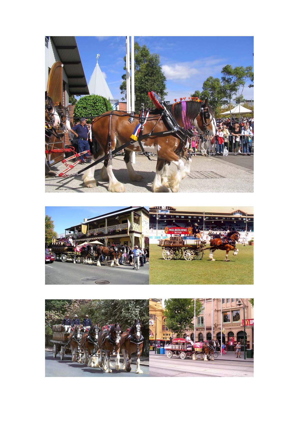 Carlton_Clydesdales_Wallpaper_b_Page_5.jpg