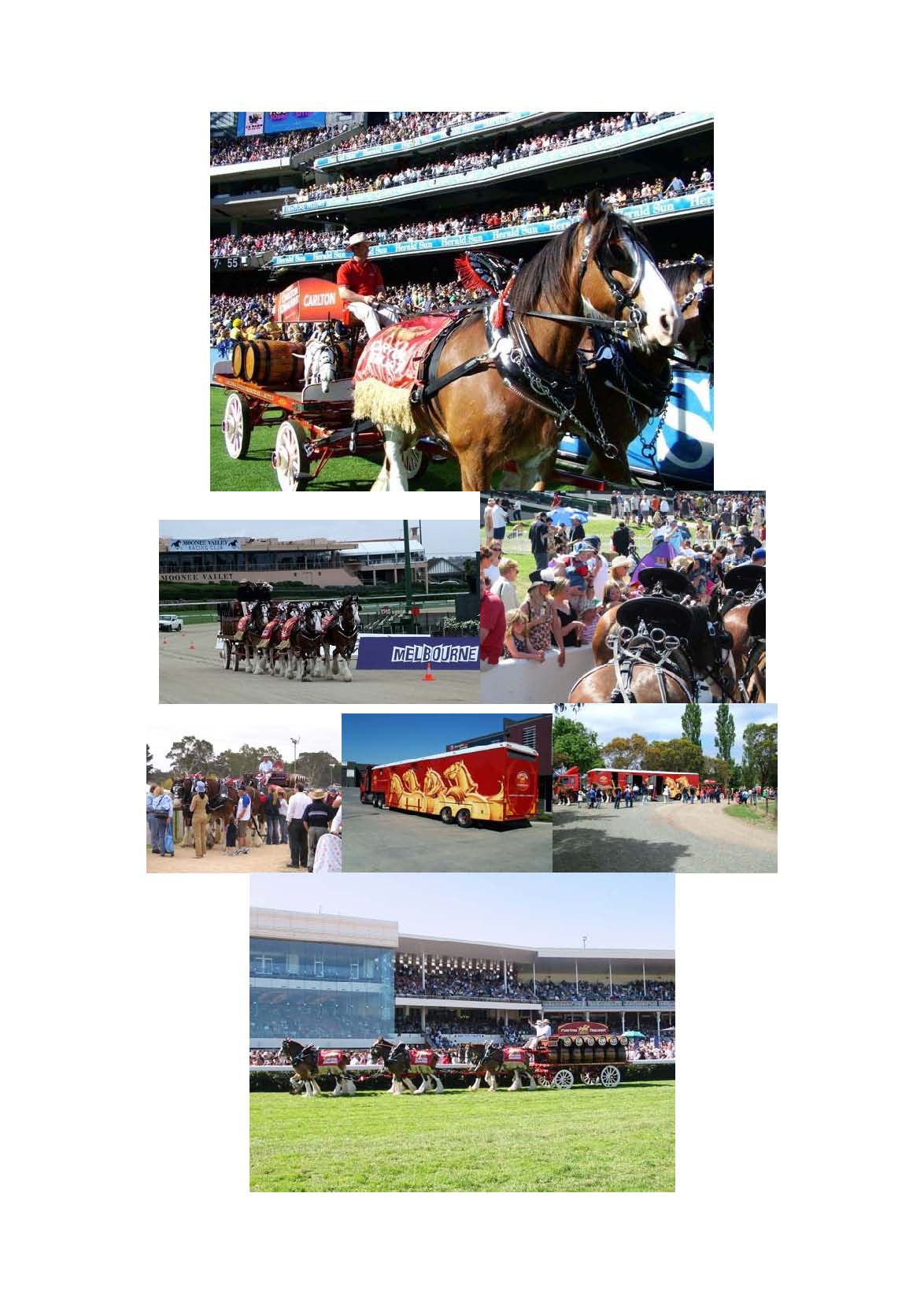 Carlton_Clydesdales_Wallpaper_b_Page_6.jpg