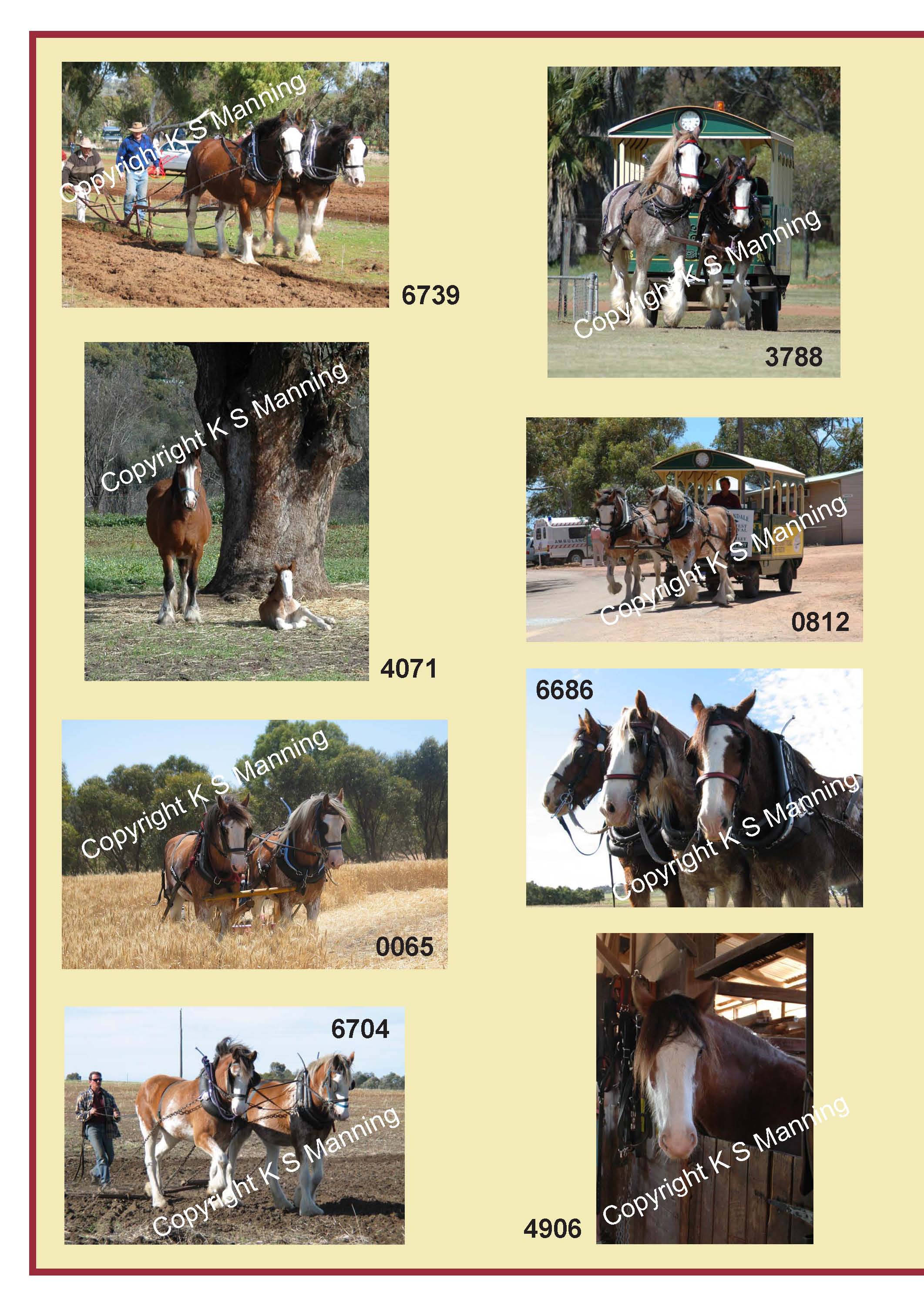 Clydie_Photo_catalogue_Page_2.jpg