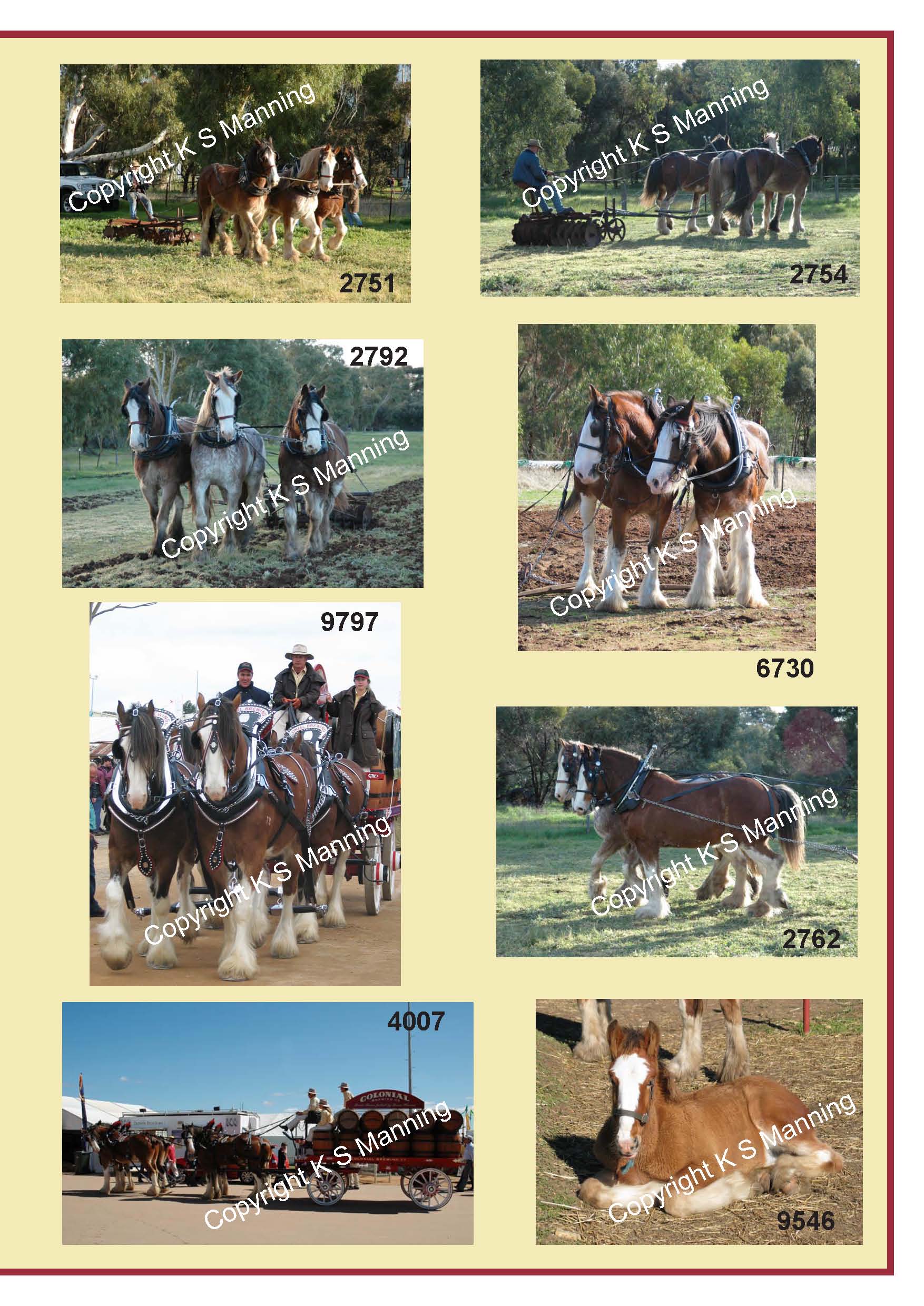 Clydie_Photo_catalogue_Page_3.jpg