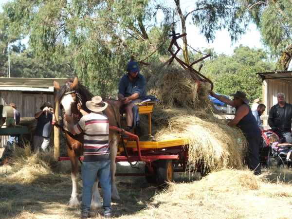 Hay__grabber.jpg