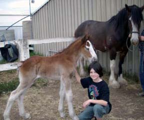 IMGP0095_edited.jpg